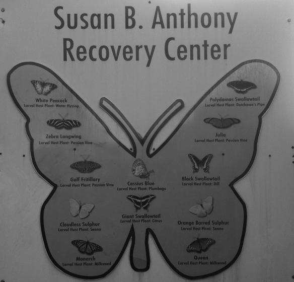 Sign for Susan B. Anthony Recovery Center